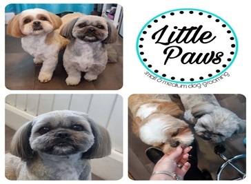 Little Paws Dog Grooming